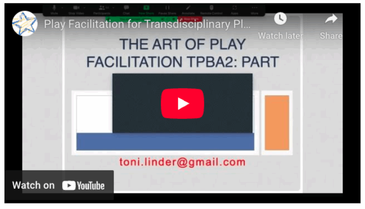 Play Facilitation for Transdisciplinary Play Based Assessment 2 video screenshot