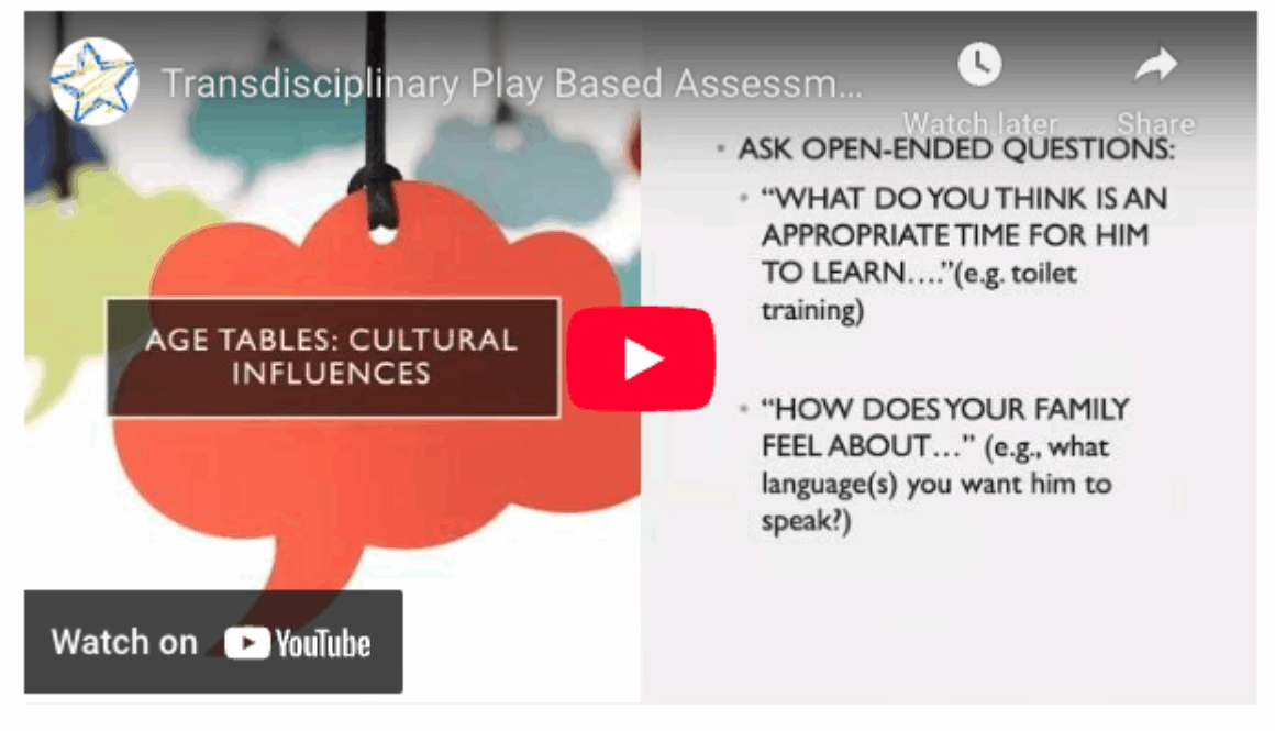 Transdisciplinary Play Based Assessment-2 Follow Up: Solutions to Common Issues video screenshot