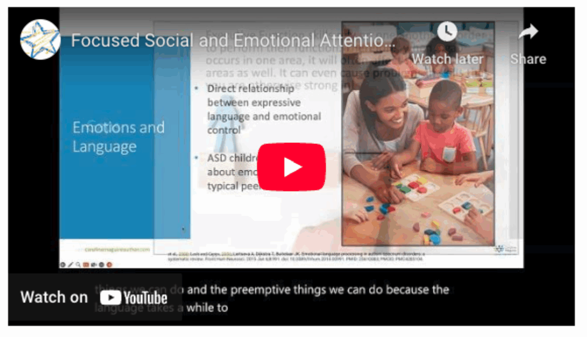Focused Social & Emotional Attention for Preschool Children with Challenging Behaviors video screenshot