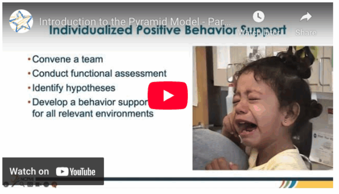 Intro to the Pyramid Model - Part 2 video screenshot